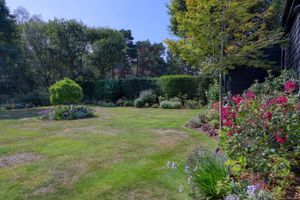 Photo 44- click for photo gallery